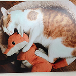 Profile Picture of Zhengyan79 (@zhengyan79) on Flickr