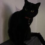 Profile Picture of Marcus Corona✌😁 (@marcuscorona550) on Instagram