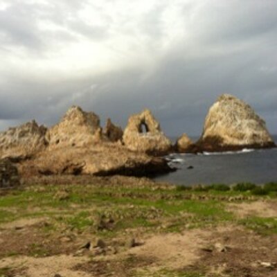 Profile Picture of Jennifer Browne (@jttbrowne) on Twitter