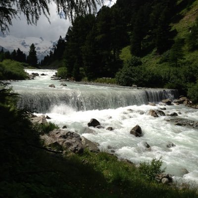 Profile Picture of Jennifer Eckstein (@@jeneckstein6) on Twitter