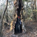 Profile Picture of Rayne (@rayne.mattson) on Instagram