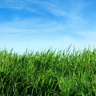 Profile Picture of Andy Edmonds (@EvenFitter) on Twitter