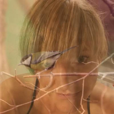 Profile Picture of Fiona Hiron (@Miss_Fifi_85) on Twitter