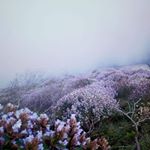 Profile Picture of Abraham Varkey (@abraham.varkey.10) on Instagram