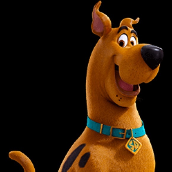 Profile Picture of Jim Kennelly (@jimkennelly) on Poshmark