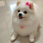 Profile Picture of Joe Ong (@joe.ong.35) on Facebook