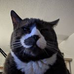 Profile Picture of benniebeans (@bennie_beans) on Instagram