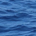 Profile Picture of Laura Weger 🌙🌻🧡✨ (@lauraweger_) on Instagram