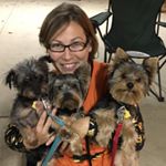 Profile Picture of Mary Gerhardt (@yorkie_pack) on Instagram