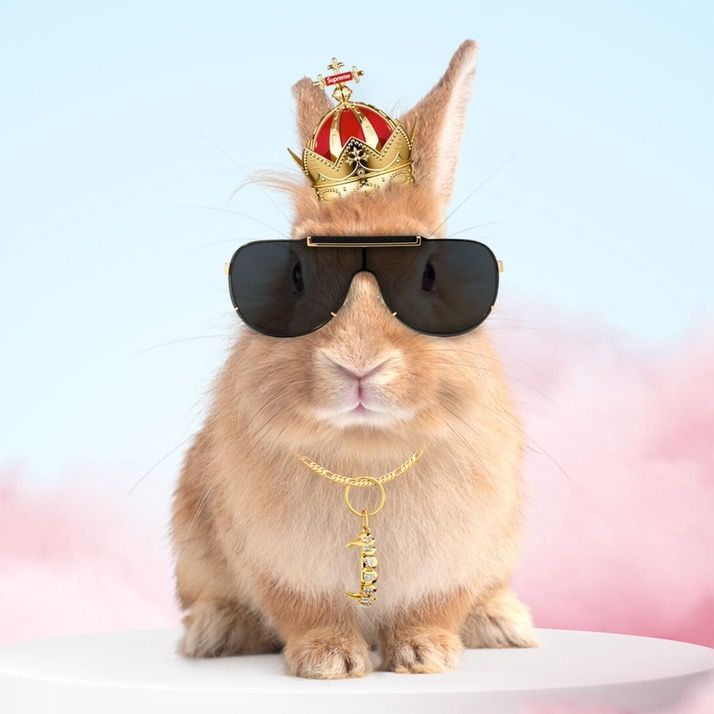 Profile Picture of NicolasMOLINES (@nicolasmolines) on Tiktok