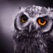 Profile Picture of Jeanris Liao (@jane841116) on Pinterest