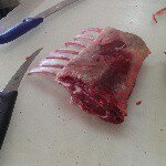 Profile Picture of Michael macqueen (@kalaharireds) on Instagram