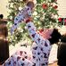 Profile Picture of Melissa Dayton (@melissa.dayton.581) on Facebook