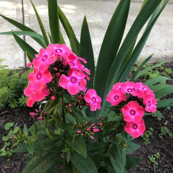 Corey Buchanan - Poshmark Profile Picture of Corey Buchanan (@coreybuchana944) on Poshmark