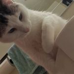 Profile Picture of Carrie Rose Jacobson (@carrierosejacobson) on Instagram