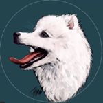 Profile Picture of Йоко - японский шпиц (@yoko.maers) on Instagram