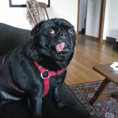 Profile Picture of Jason Johnsen (@jasonjohnsen5) on Twitter