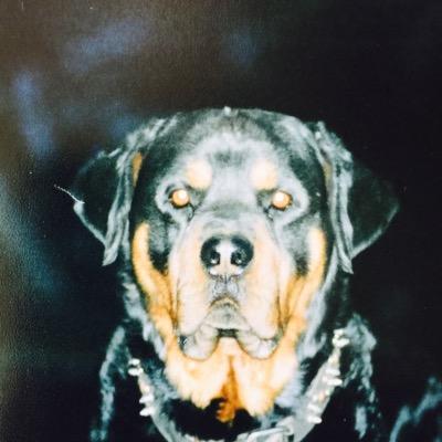 Profile Picture of Nathan Kunkel (@KunkelNathan) on Twitter