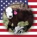 Profile Picture of Joshua Corbett (@joshua.corbett.14606) on Facebook