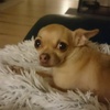 Profile Picture of Paula Eckert (@@unicorn113245768) on Tiktok