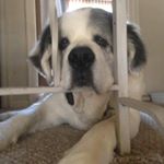 Profile Picture of Nancy Ming (@mingiff2) on Instagram