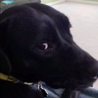 Profile Picture of Joe Leonardi (@joeleo74) on Twitter