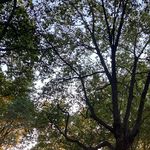 Profile Picture of Paula Lorenzo (@cosasquemedanmiedo) on Instagram