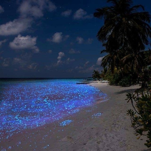 Profile Picture of Vee Gordon (@vprince27) on Poshmark