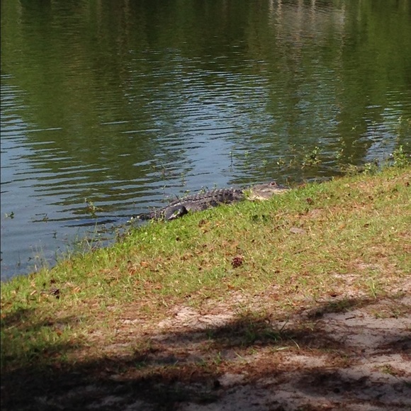 Profile Picture of Kyle Niekamp (@kniekamp) on Poshmark