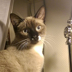 Swazerty - Flickr Profile Picture of Swazerty (@swazerty) on Flickr