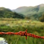 Profile Picture of James Gaunt (@jgaunt123) on Instagram