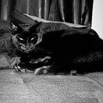 Profile Picture of Andrew Olive (@andrewolive) on Instagram