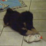 Profile Picture of Joyce Lafleur (@joyce.lafleur.3) on Facebook