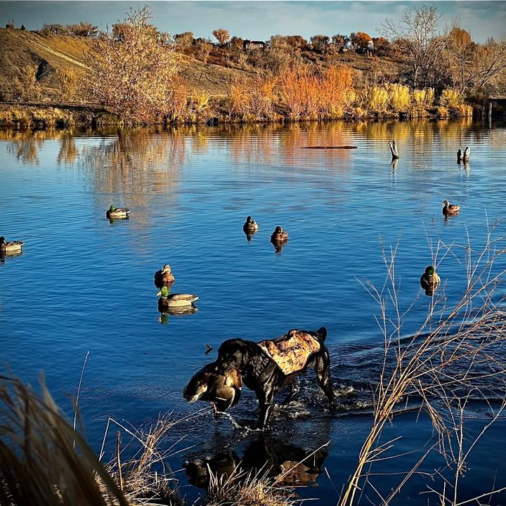 Profile Picture of Michael Schlauger (@michaelschlauger) on Tiktok