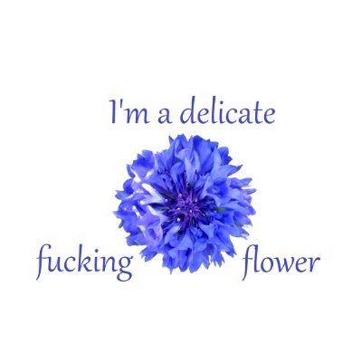 Profile Picture of Hannah Murray, Pluviophile 🏳️‍🌈 (@HannahM_Writes) on Twitter