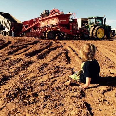 Profile Picture of Ben Visser (@VisserFarmer) on Twitter