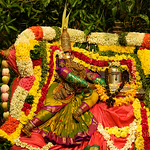 Profile Picture of Karpagavalli (@karpagavalli) on Flickr