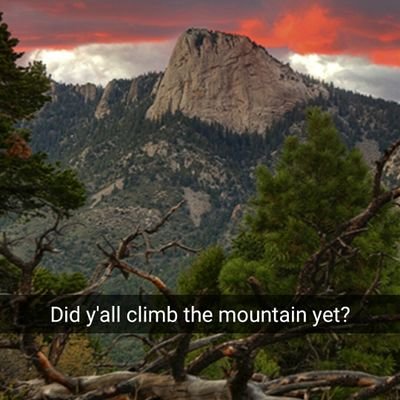 Profile Picture of Matt Rienzo (@caswellrienzo) on Twitter