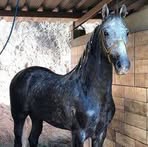 Profile Picture of Lucio Barojas (@Lucio-Barojas) on Facebook