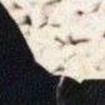 Profile Picture of Brian Glaser (@brian.glaser.79) on Instagram