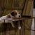 Profile Picture of Anissa Watson (@anissawatson50) on Pinterest