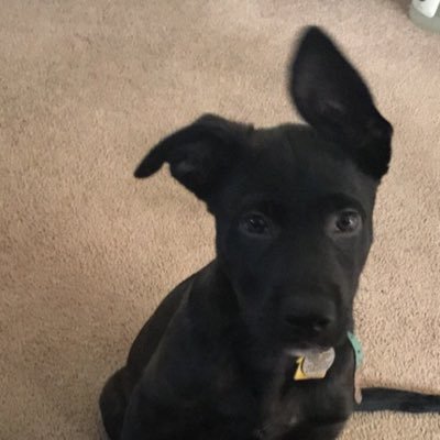 Profile Picture of Cody (@megan939597) on Twitter