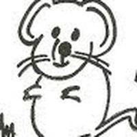 Profile Picture of Donna Player (@donna-player-3) on Quora