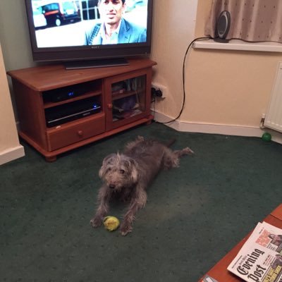 Lynette Davies - Twitter Profile Picture of Lynette Davies (@LynettedaviesA) on Twitter