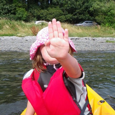 Profile Picture of Stable Framing (@SteveFraming) on Twitter