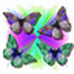 Profile Picture of Robin Wilson (@ButterflyDreams2009) on Flickr