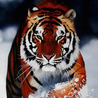 Philip Breen✏️✒️ - Twitter Profile Picture of Philip Breen✏️✒️ (@Pj_breen1) on Twitter