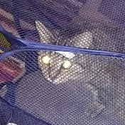 Profile Picture of L White (@lwhite8127) on Youtube