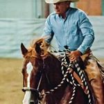 Profile Picture of Don Lindsay Horse Training (@donlindsayhorsetraining) on Instagram