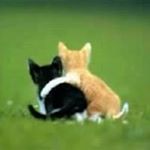 Profile Picture of Victor Chimal (@chimalvictor) on Instagram